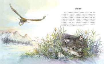 狼王梦3读后感优秀8篇