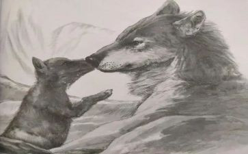 狼王梦3读后感最新6篇