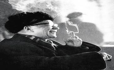 老舍的书读后感6篇
