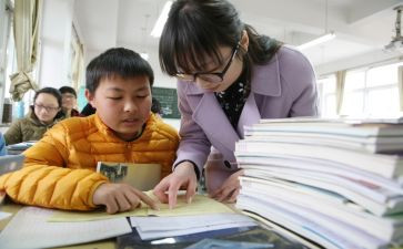 培训老师总结报告8篇