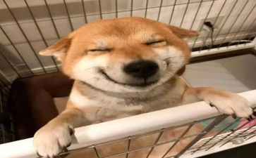 我快乐作文400字推荐5篇