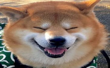 我读书,我快乐作文优秀7篇