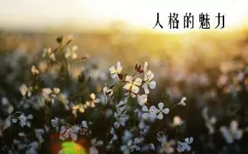 魅力作文精选7篇