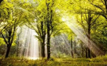 魅力作文最新6篇