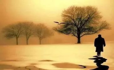 魅力作文优质8篇