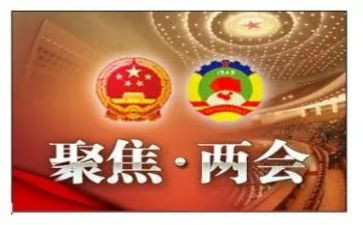 学两会精神的心得体会7篇