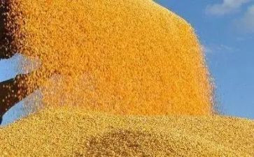 2024年粮食工作个人总结6篇