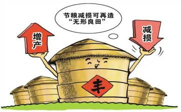 粮食节活动策划模板8篇