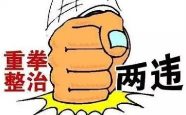 2024两违工作个人年终总结通用6篇