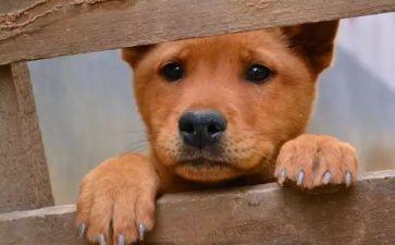 《流浪地球》观后感优秀7篇