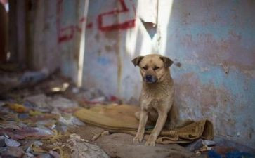 流浪地球观后感范文7篇