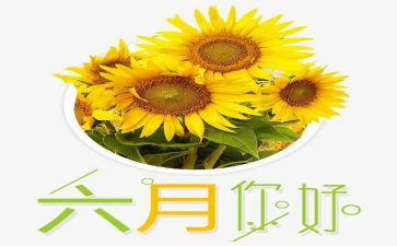 幼儿园六月份工作总结8篇