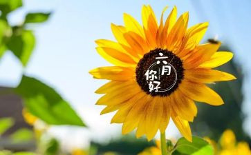 2024中班六月份月计划6篇