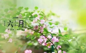 2024年六月心得体会8篇