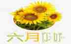 幼儿园六月份工作总结8篇