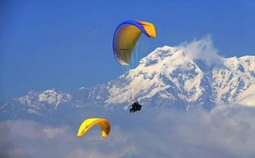 丁历险记读后感通用7篇