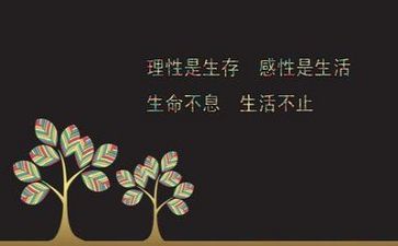 励志成才的作文5篇