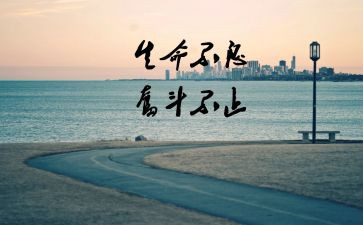 努力的工作的心得体会5篇