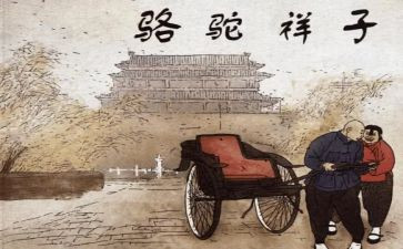 《骆驼》读后感6篇