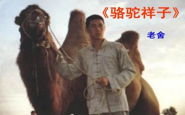 《骆驼》的读后感8篇