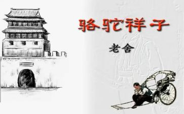 骆驼读后感800字8篇