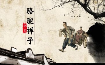 骆驼祥子200心得体会精选5篇