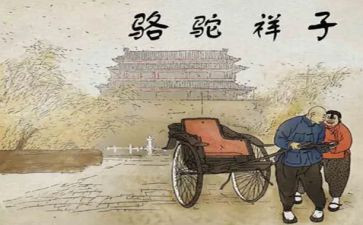 骆驼读后感600字6篇