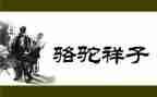 《骆驼》读后感最新8篇