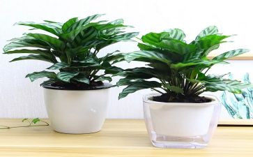 绿色节能心得体会8篇