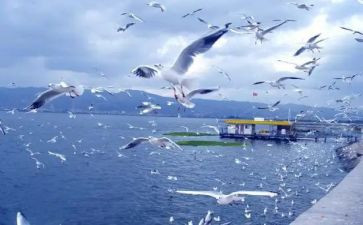 旅游培训心得体会范文7篇