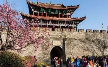 旅游活动方案最新5篇