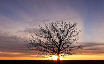 中考满分优秀作文6篇