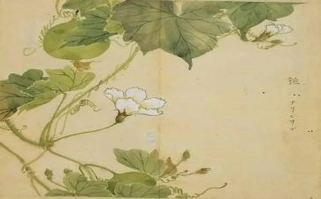 氓离骚教案推荐6篇
