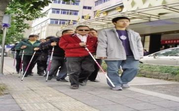 盲人节活动方案5篇