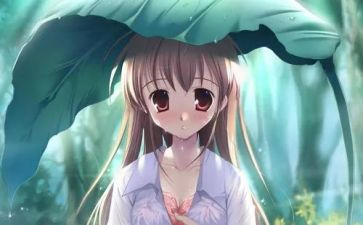 爸爸的漫画像作文5篇