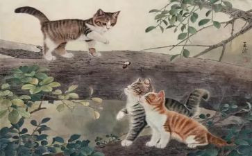猫和狗读后感600字最新7篇