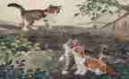 关于猫的素材作文优秀5篇