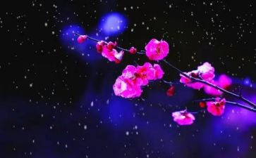 梅花赞作文500字7篇