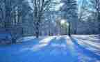 冬天的雪作文模板8篇