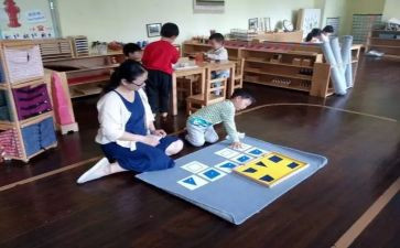 幼儿园大班蒙氏数学教案7篇