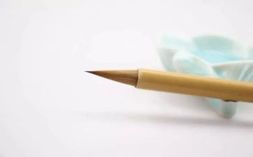 幼儿园音乐迷路的小花鸭教案5篇