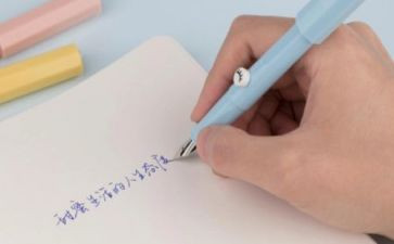 最让我着迷的作文500字8篇