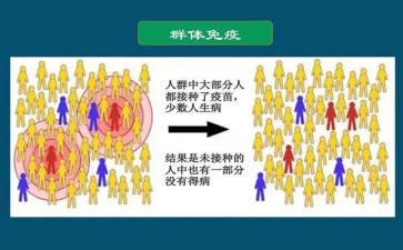 免疫工作计划8篇