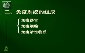 2024年乡镇卫生院免疫规划工作总结5篇