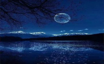 明月村作文通用8篇