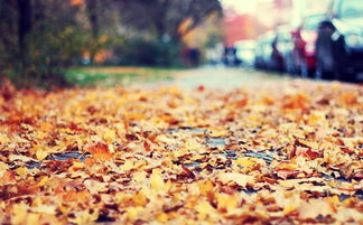 改变命运800字作文6篇