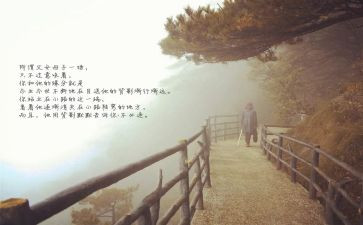 龙应台目送读后感6篇