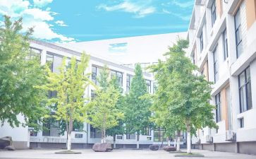 感恩母校小学演讲稿通用8篇