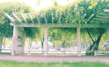 感恩老师感恩母校的作文6篇