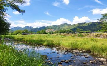 耐心的520演讲稿7篇